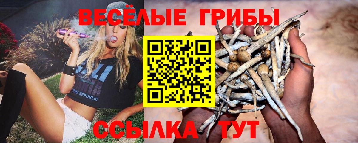 Галлюциногенные грибы Magic Shrooms  Галлюциногенные грибы MAGIC MUSHROOMS  Вход с VPN  Солнечногорск 